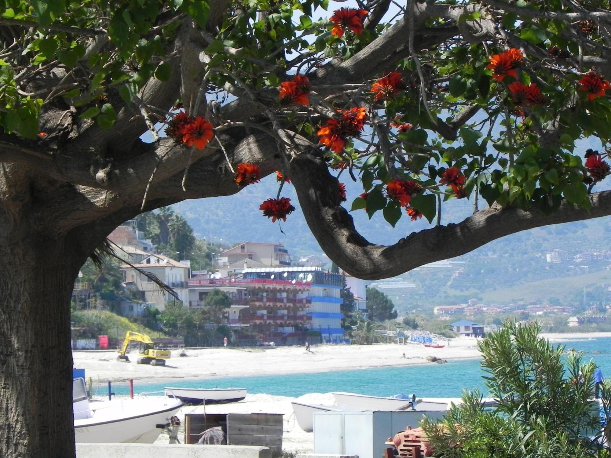 San Domenico Hotel Соверато Марина Екстериор снимка